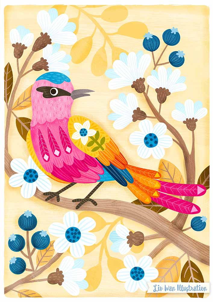 Southern Carmine Bee Eater Postcard