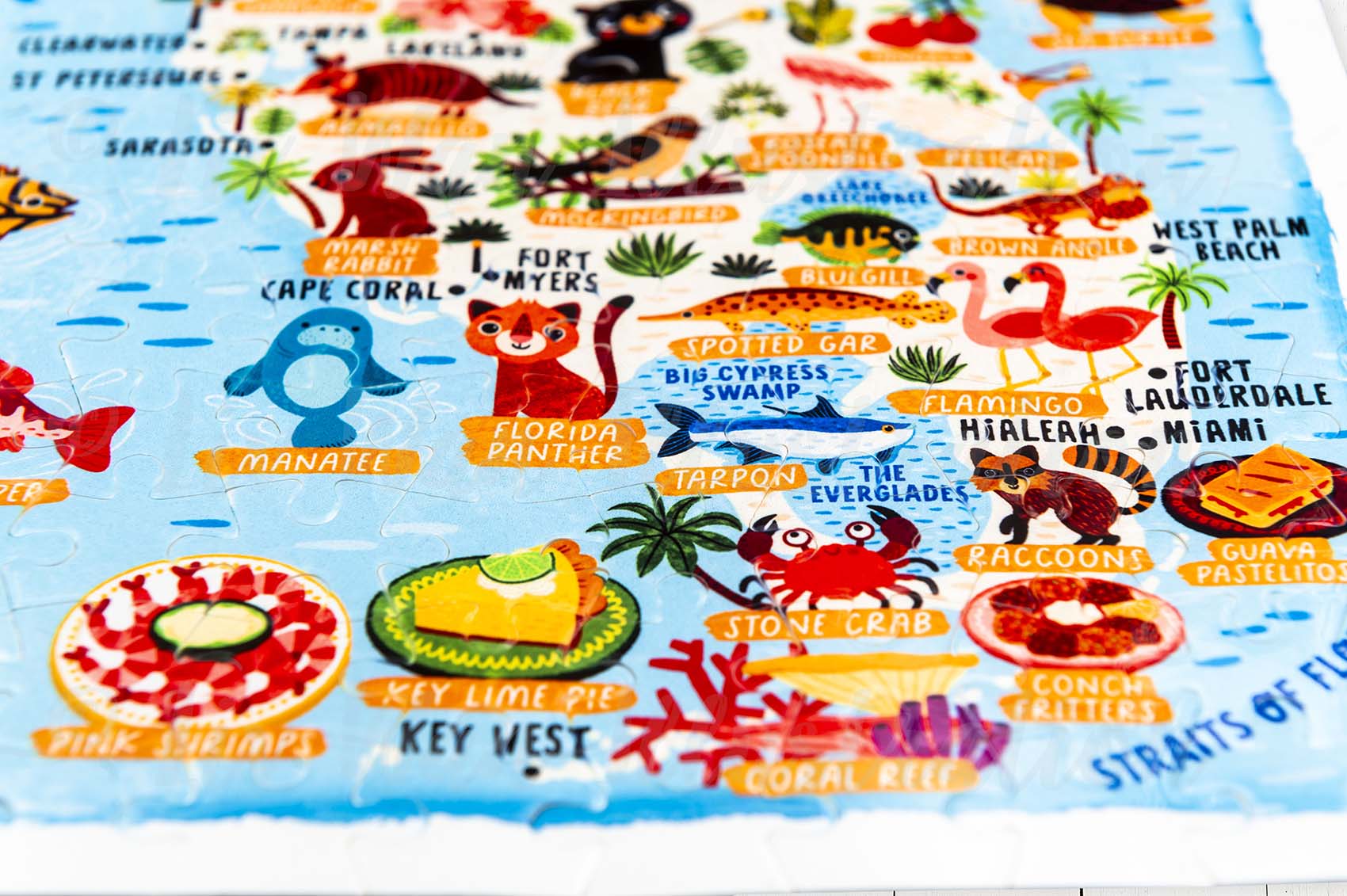 Florida Map Jigsaw Puzzle