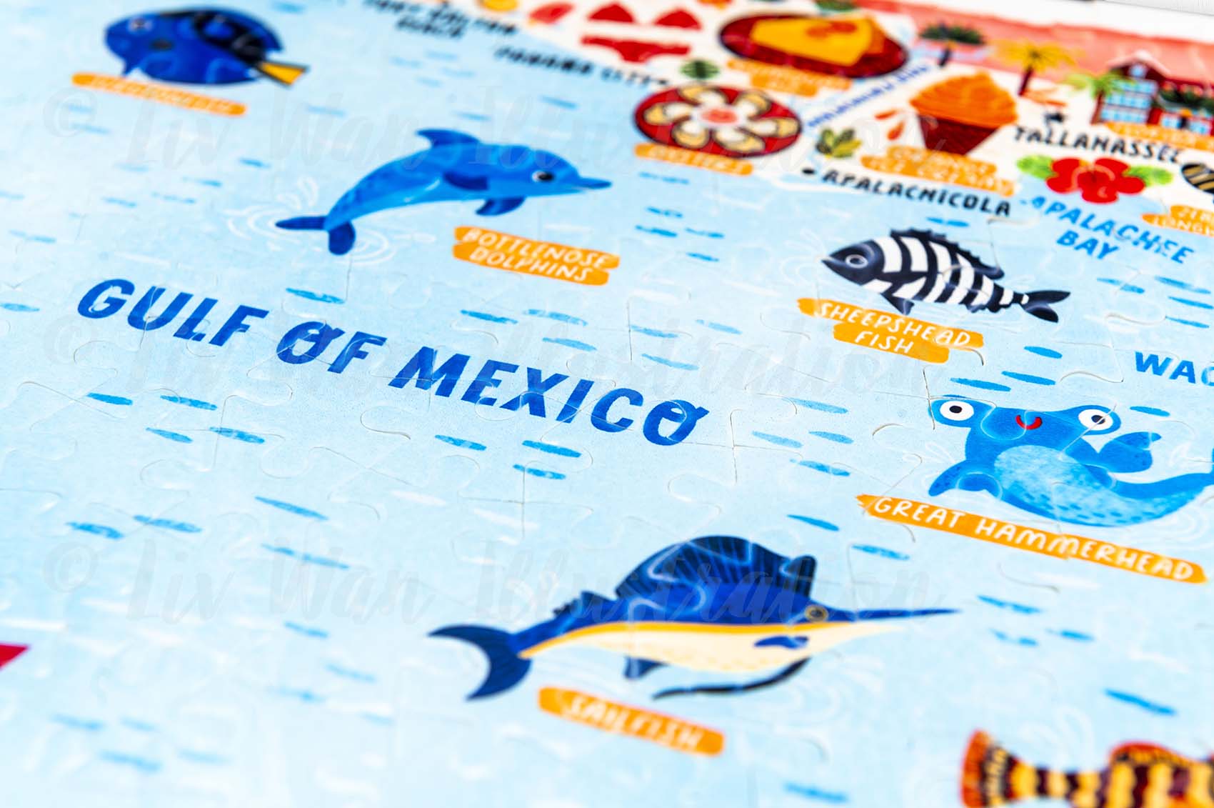 Florida Map Jigsaw Puzzle