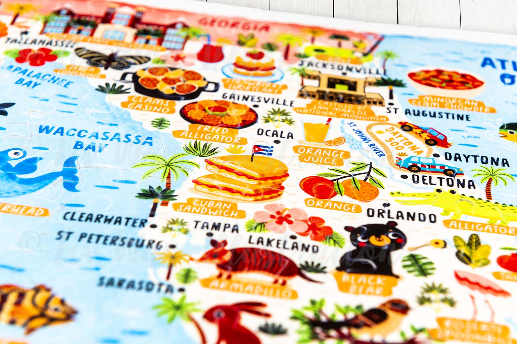 Florida Map Jigsaw Puzzle