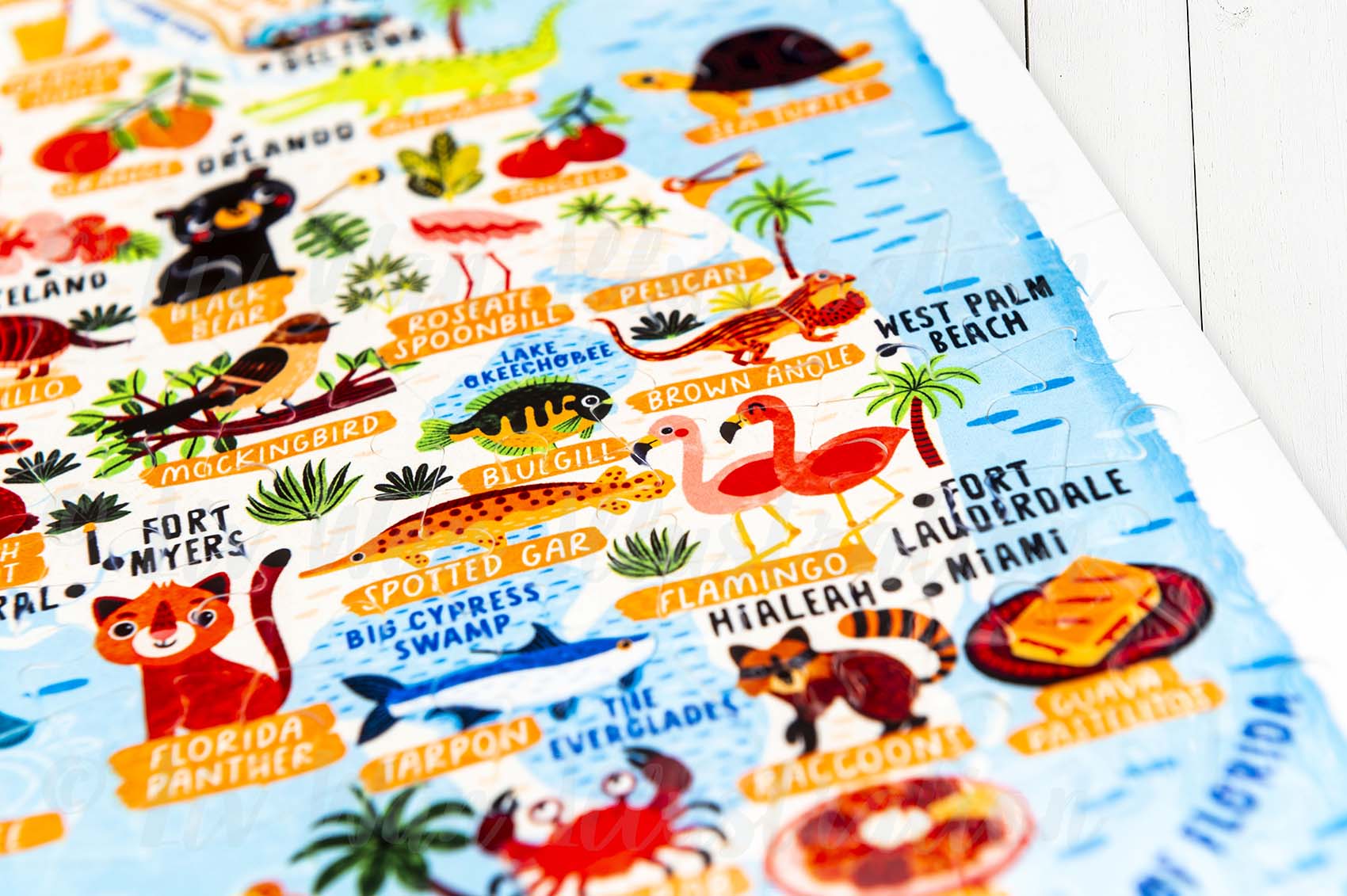 Florida Map Jigsaw Puzzle